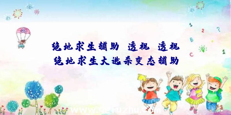 「绝地求生辅助